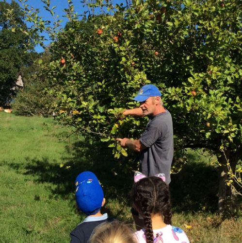 Year 1 Farm trip September 2026