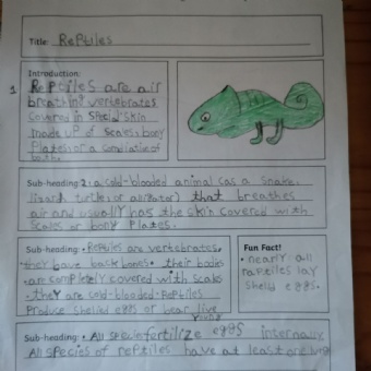 St. Barnabas' CE (VA) Primary School - Saanvi's Amazing Animal Information